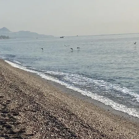 Artaleammare * Fondachello